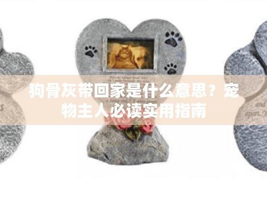 狗骨灰带回家是什么意思？宠物主人必读实用指南