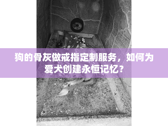 狗的骨灰做戒指定制服务，如何为爱犬创建永恒记忆？