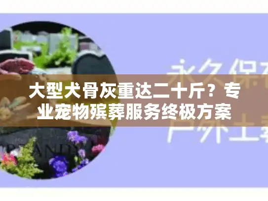 大型犬骨灰重达二十斤？专业宠物殡葬服务终极方案