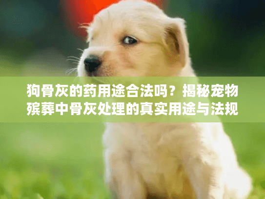 狗骨灰的药用途合法吗？揭秘宠物殡葬中骨灰处理的真实用途与法规