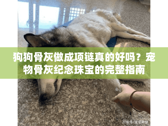 狗狗骨灰做成项链真的好吗？宠物骨灰纪念珠宝的完整指南