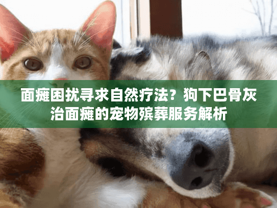 面瘫困扰寻求自然疗法？狗下巴骨灰治面瘫的宠物殡葬服务解析