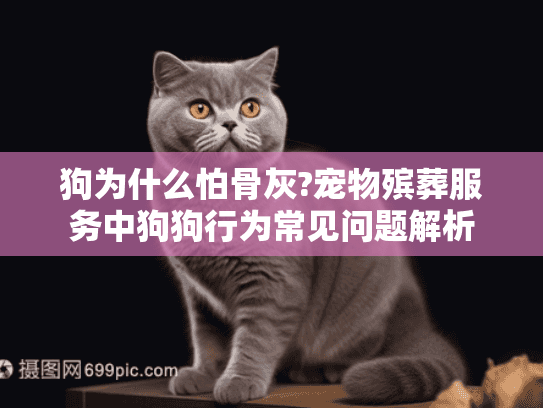 狗为什么怕骨灰?宠物殡葬服务中狗狗行为常见问题解析