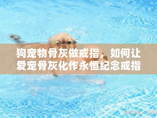 狗宠物骨灰做戒指，如何让爱宠骨灰化作永恒纪念戒指?