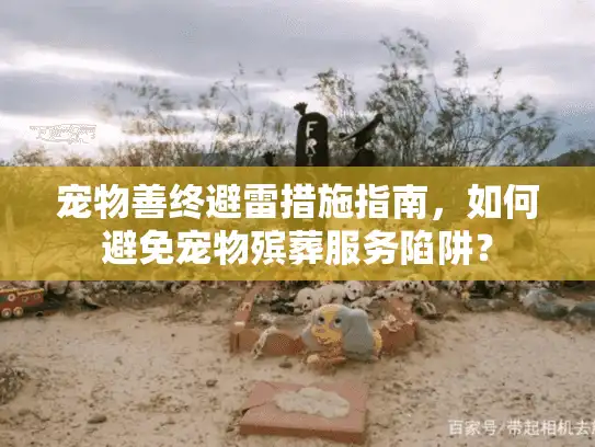 宠物善终避雷措施指南,如何避免宠物殡葬服务陷阱? 宠物善终避雷措施指南,如何避免宠物殡葬服务陷阱?