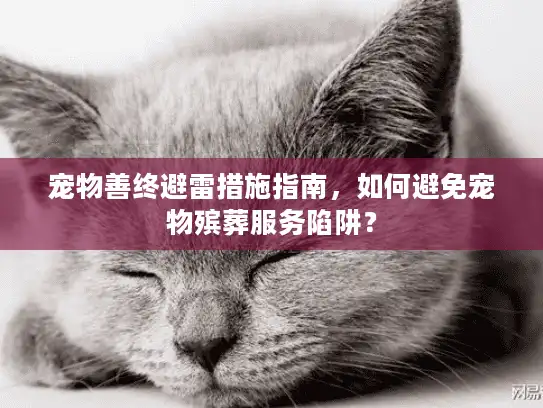 宠物善终避雷措施指南,如何避免宠物殡葬服务陷阱? 宠物善终避雷措施指南,如何避免宠物殡葬服务陷阱?