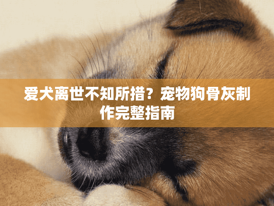 爱犬离世不知所措?宠物狗骨灰制作完整指南 爱犬离世不知所措?宠物狗骨灰制作完整指南
