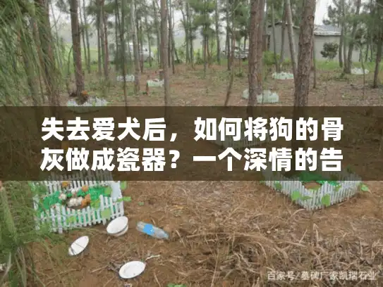 失去爱犬后，如何将狗的骨灰做成瓷器？一个深情的告别仪式
