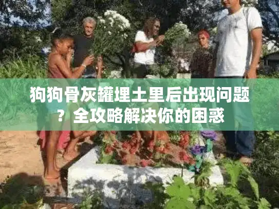 狗狗骨灰罐埋土里后出现问题？全攻略解决你的困惑