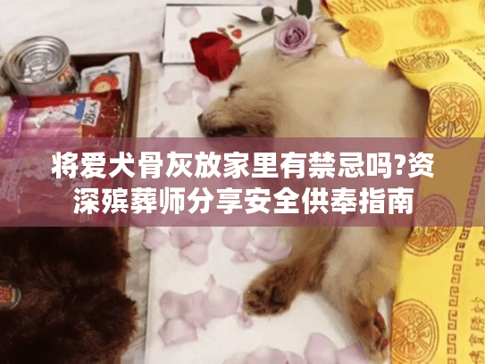 将爱犬骨灰放家里有禁忌吗?资深殡葬师分享安全供奉指南