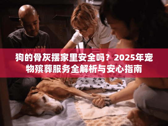 狗的骨灰摆家里安全吗?2025年宠物殡葬服务全解析与安心指南 狗的骨灰摆家里安全吗?2025年宠物殡葬服务全解析与安心指南