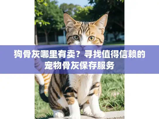 狗骨灰哪里有卖？寻找值得信赖的宠物骨灰保存服务