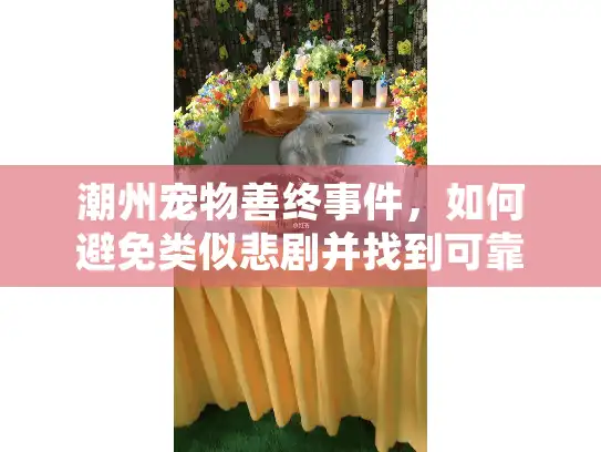 潮州宠物善终事件,如何避免类似悲剧并找到可靠宠物殡葬服务? 潮州宠物善终事件,如何避免类似悲剧并找到可靠宠物殡葬服务?