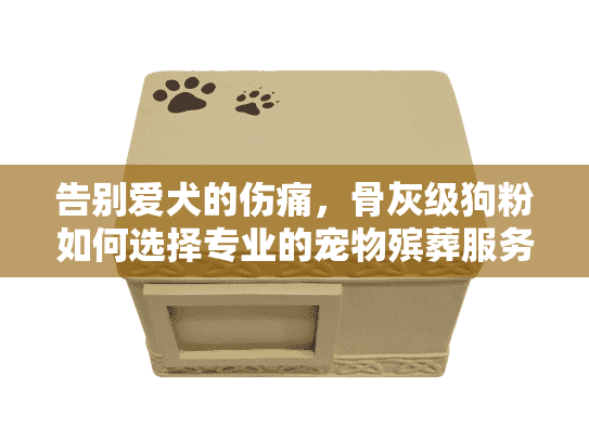 告别爱犬的伤痛，骨灰级狗粉如何选择专业的宠物殡葬服务？