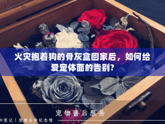 火灾抱着狗的骨灰盒回家后，如何给爱宠体面的告别?