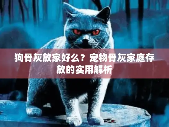 狗骨灰放家好么?宠物骨灰家庭存放的实用解析 狗骨灰放家好么?宠物骨灰家庭存放的实用解析