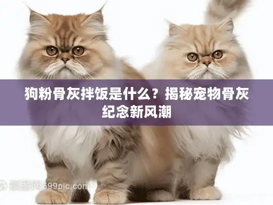 狗粉骨灰拌饭是什么？揭秘宠物骨灰纪念新风潮