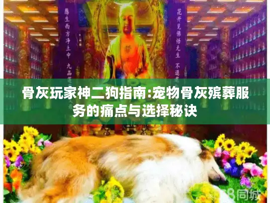 骨灰玩家神二狗指南:宠物骨灰殡葬服务的痛点与选择秘诀
