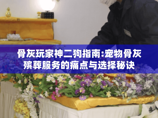 骨灰玩家神二狗指南:宠物骨灰殡葬服务的痛点与选择秘诀