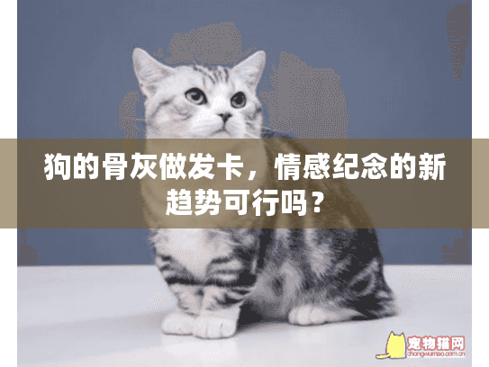 狗的骨灰做发卡，情感纪念的新趋势可行吗？