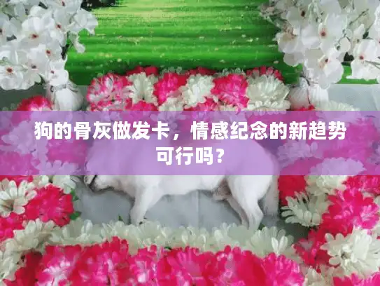 狗的骨灰做发卡，情感纪念的新趋势可行吗？