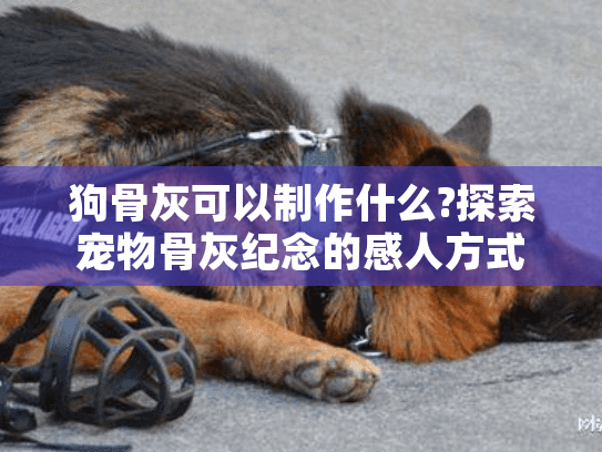 狗骨灰可以制作什么?探索宠物骨灰纪念的感人方式