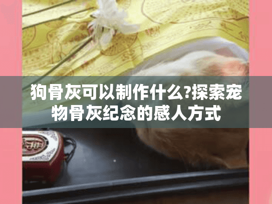狗骨灰可以制作什么?探索宠物骨灰纪念的感人方式