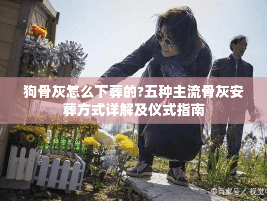 狗骨灰怎么下葬的?五种主流骨灰安葬方式详解及仪式指南