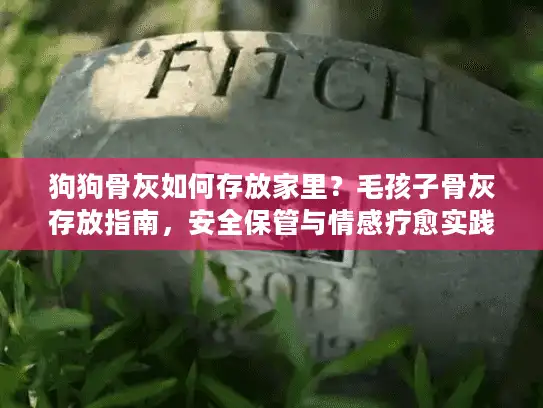 狗狗骨灰如何存放家里？毛孩子骨灰存放指南，安全保管与情感疗愈实践