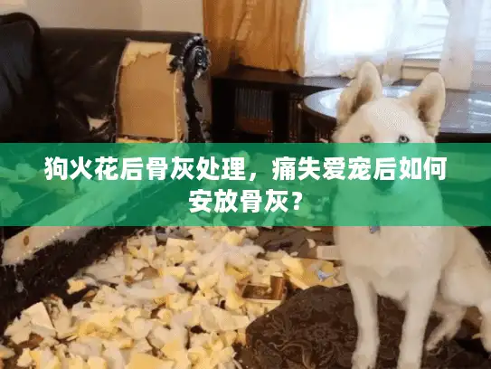 狗火花后骨灰处理,痛失爱宠后如何安放骨灰? 狗火花后骨灰处理,痛失爱宠后如何安放骨灰?