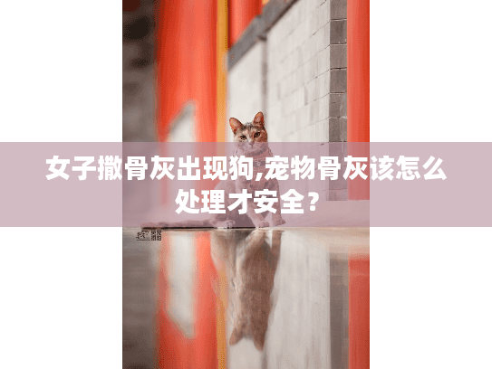 女子撒骨灰出现狗,宠物骨灰该怎么处理才安全？