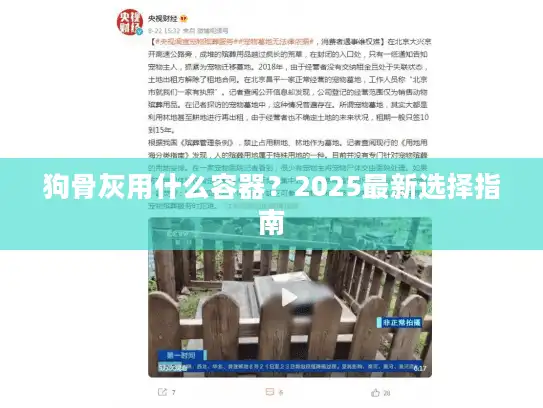 狗骨灰用什么容器?2025最新选择指南 狗骨灰用什么容器?2025最新选择指南