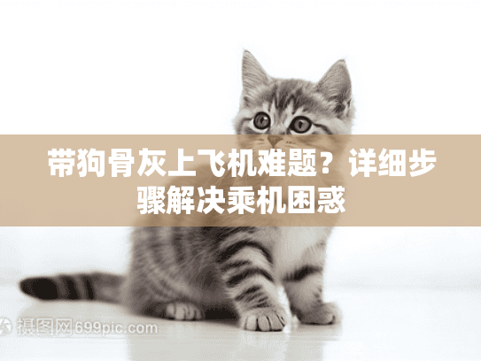 带狗骨灰上飞机难题？详细步骤解决乘机困惑