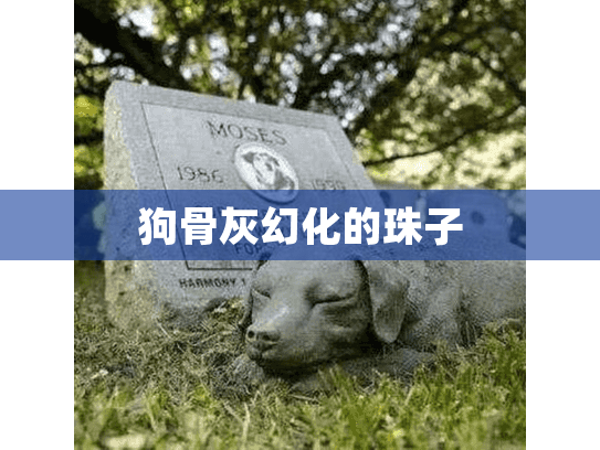 狗骨灰幻化的珠子