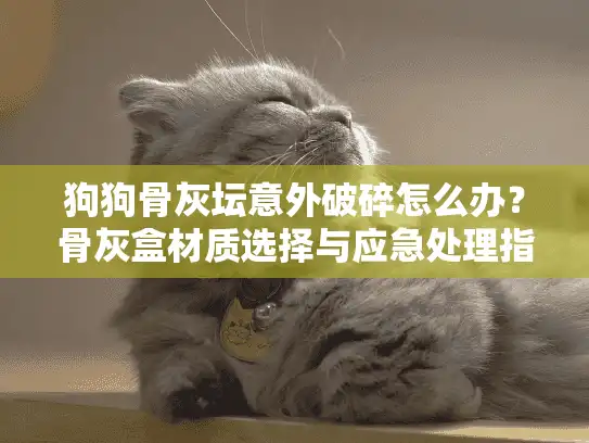 狗狗骨灰坛意外破碎怎么办？骨灰盒材质选择与应急处理指南