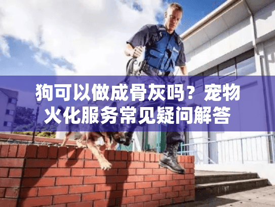狗可以做成骨灰吗？宠物火化服务常见疑问解答