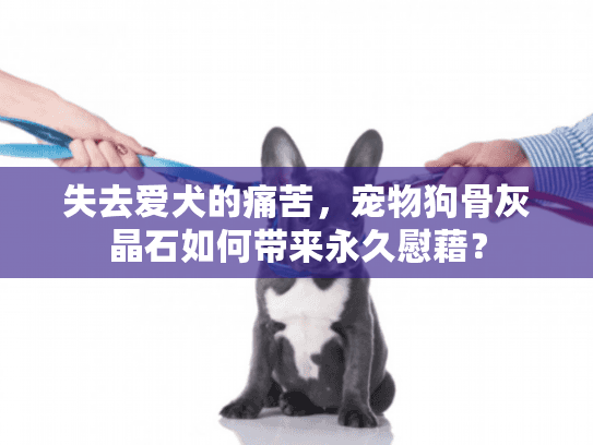 失去爱犬的痛苦，宠物狗骨灰晶石如何带来永久慰藉？