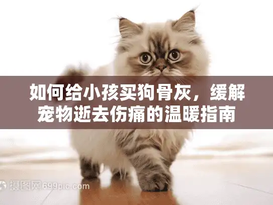 如何给小孩买狗骨灰,缓解宠物逝去伤痛的温暖指南 如何给小孩买狗骨灰,缓解宠物逝去伤痛的温暖指南
