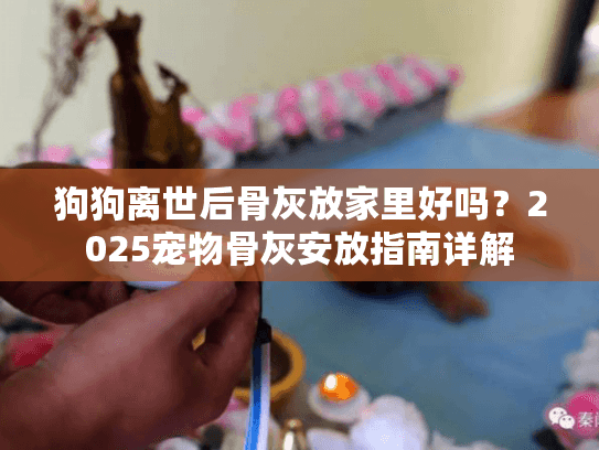 狗狗离世后骨灰放家里好吗？2025宠物骨灰安放指南详解