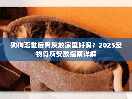 狗狗离世后骨灰放家里好吗？2025宠物骨灰安放指南详解