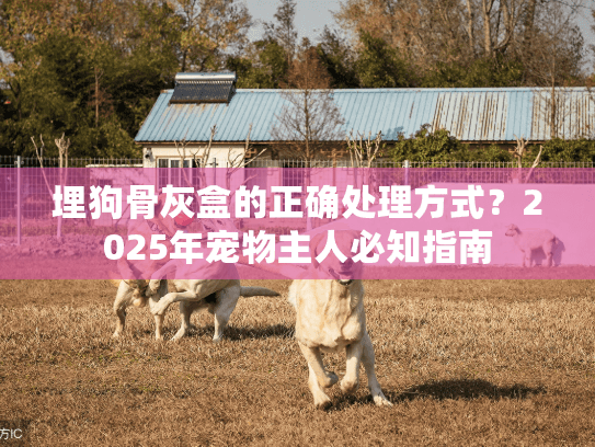 埋狗骨灰盒的正确处理方式？2025年宠物主人必知指南