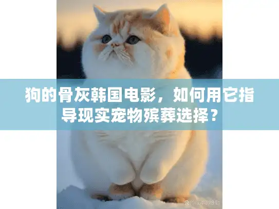狗的骨灰韩国电影，如何用它指导现实宠物殡葬选择？