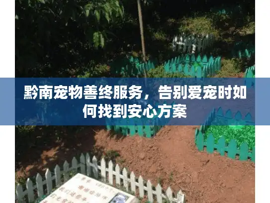 黔南宠物善终服务，告别爱宠时如何找到安心方案
