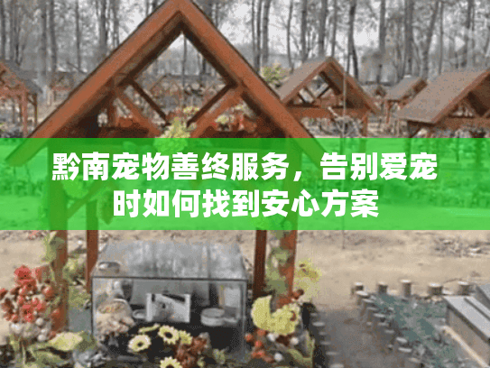 黔南宠物善终服务，告别爱宠时如何找到安心方案