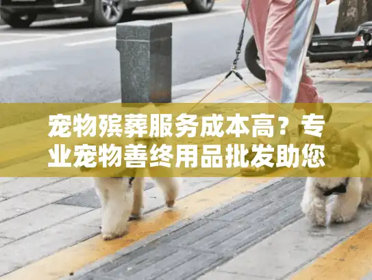 宠物殡葬服务成本高？专业宠物善终用品批发助您降本增效