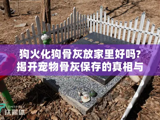 狗火化狗骨灰放家里好吗?揭开宠物骨灰保存的真相与解决方案