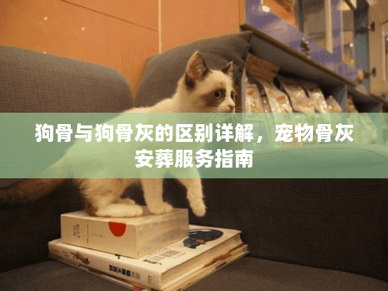 狗骨与狗骨灰的区别详解，宠物骨灰安葬服务指南