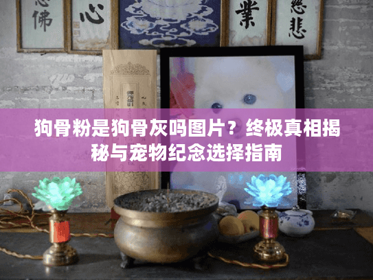 狗骨粉是狗骨灰吗图片？终极真相揭秘与宠物纪念选择指南