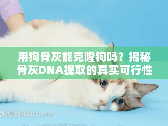 用狗骨灰能克隆狗吗？揭秘骨灰DNA提取的真实可行性