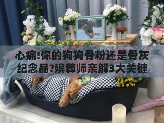 心痛!你的狗狗骨粉还是骨灰纪念品?殡葬师亲解3大关键区别